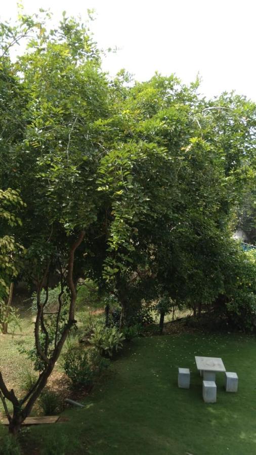 Golden Residence أنرادابورام المظهر الخارجي الصورة