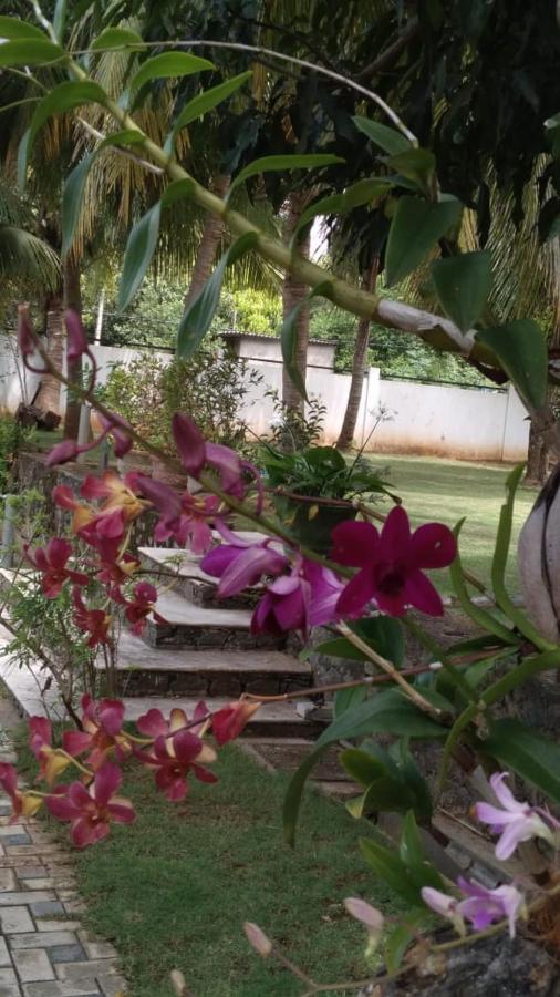 Golden Residence أنرادابورام المظهر الخارجي الصورة